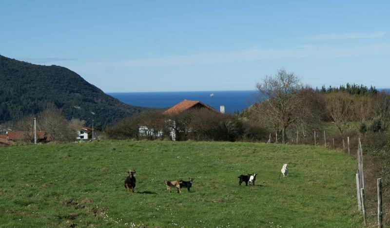 Casa Rural Arboliz Ibarrangelu Exterior foto